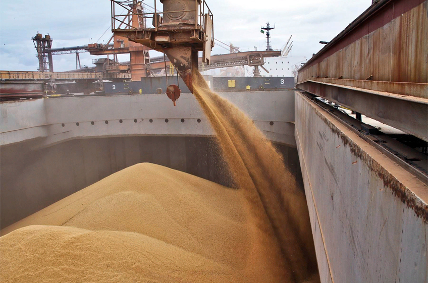 Эксперт: субсидирование поставок зерна в порты и отмена пошлин повысит темпы экспорта России
