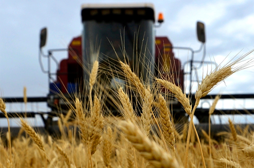 В Союзе экспортеров зерна заявили, что Россия может создать региональный рынок для экспорта