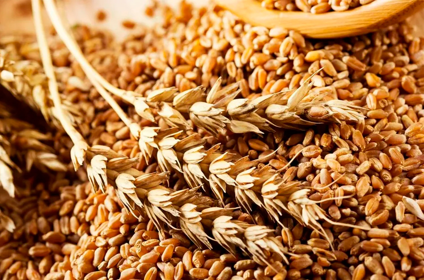 В ФАО рассказали о причинах роста цен на пшеницу