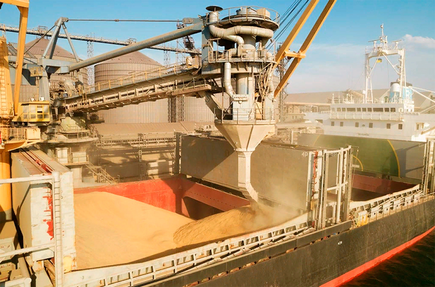 Экспорт пшеницы из России в два раза превысил показатели до спецоперации