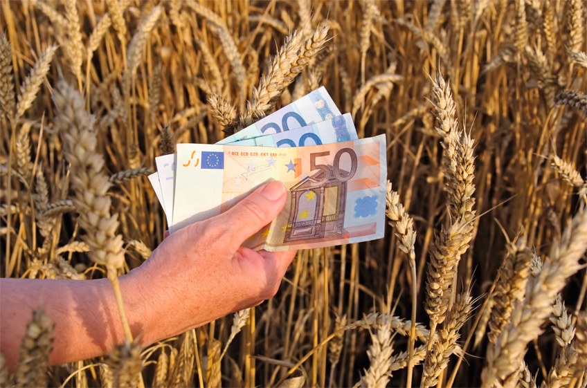 ФАО: издержки работы агропродовольственных систем составляют 10% мирового ВВП