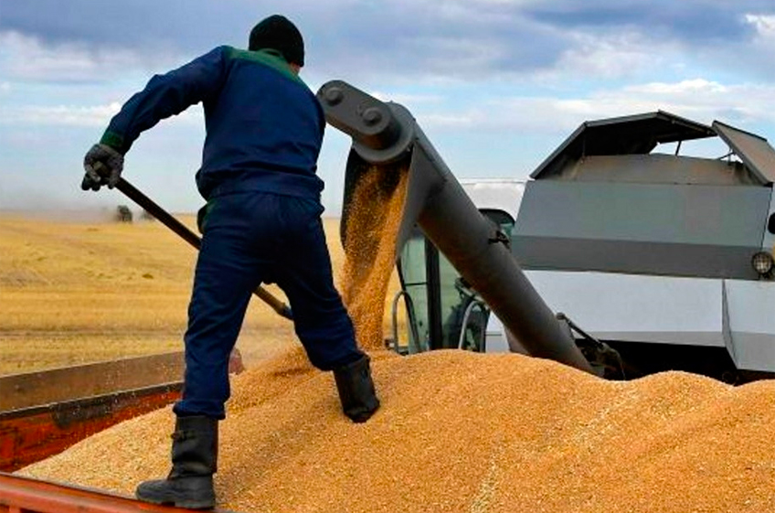 Сложная ситуация на российском зерновом рынке может стать и проблемой смежников АПК