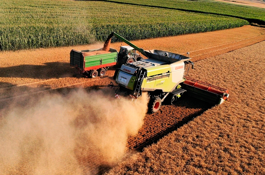 ФАО понизила прогноз мирового производства зерновых в текущем сезоне