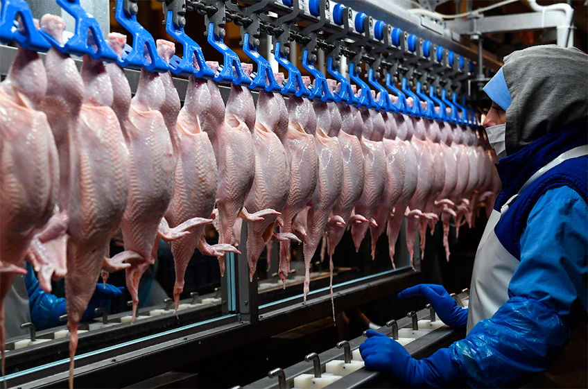 В Минсельхозе РФ не ждут роста производства мяса птицы