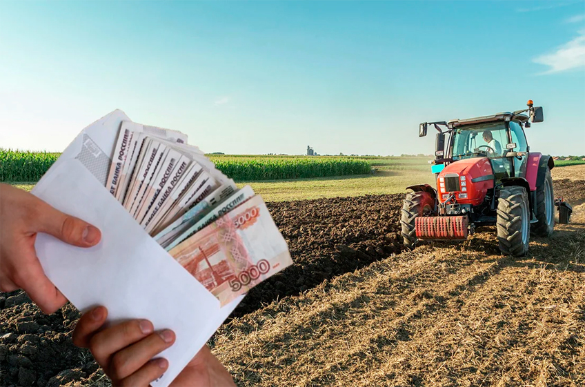 Правительство РФ планирует каждый год направлять на развитие села до 10 млрд рублей от пошлин на зерно