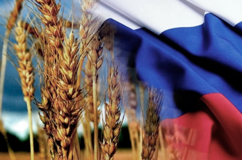 "СовЭкон": российская пшеница вновь подорожала, пик мировых цен может быть недалеко
