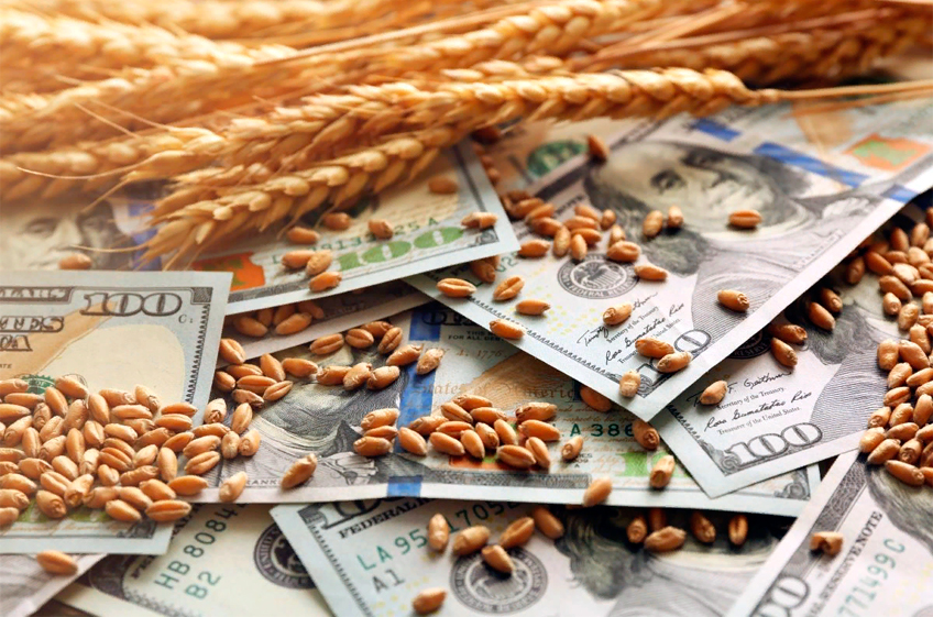 "ПроЗерно": впервые с начала октября произошло снижение экспортных цен на российскую пшеницу