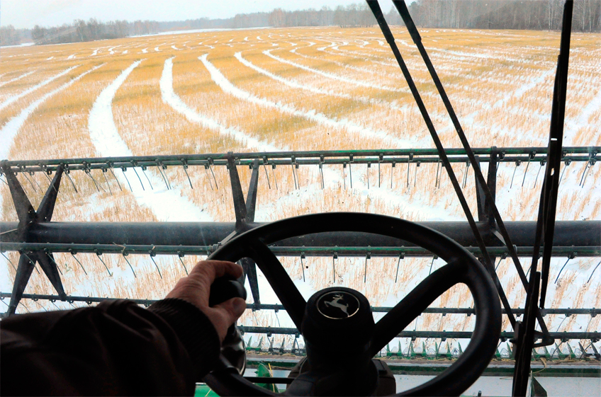 В России собрано 126,4 млн тонн зерна