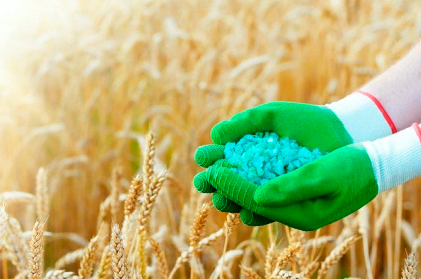 Первый вице-премьер Андрей Белоусов назвал рост цен на удобрения и зерно одной из важнейших проблем для властей