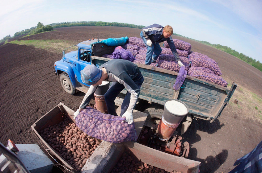 АККОР: российские фермеры практически не получают господдержки
