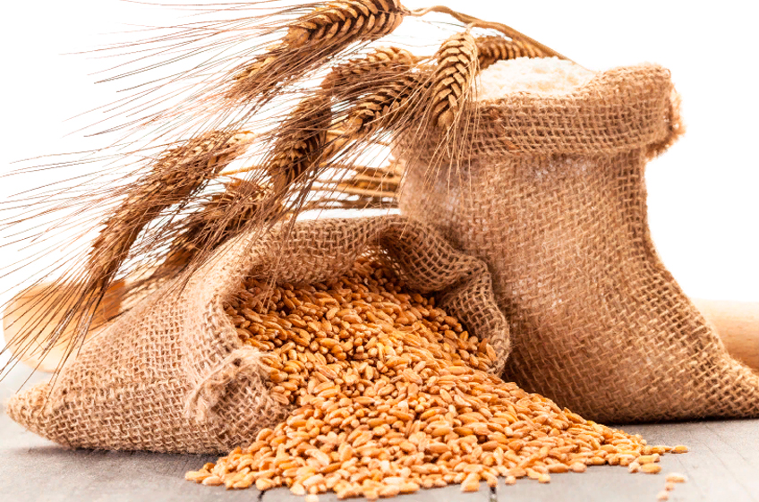 Минсельхоз РФ определил предельные цены на зерно и сахар для интервенций в 2022-2023 гг.