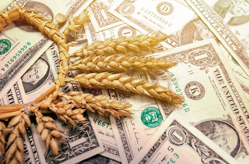 Россия с начала сезона снизила экспорт пшеницы на 21,6%