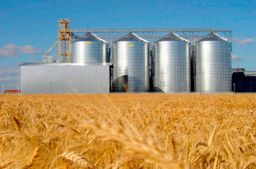 В России собрано 125,6 млн тонн зерна