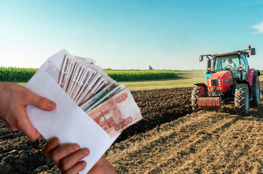 Правительство РФ обещает выделить аграриям около 10,4 млрд рублей из средств, полученных от зерновой пошлины