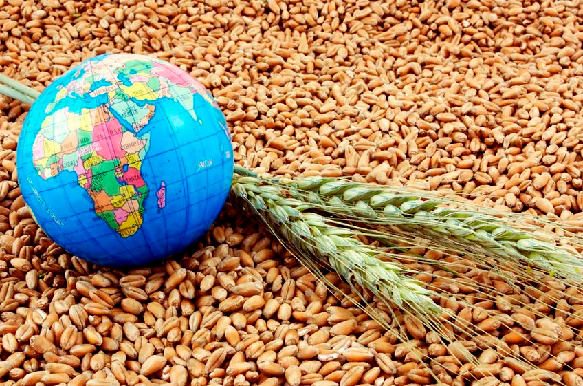 Россия за три месяца сельхозгода снизила экспорт зерна на 23%