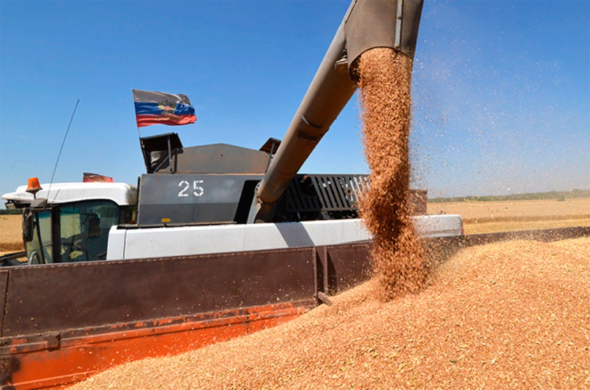 Экспортные цены на российскую пшеницу на прошлой неделе продолжили рост