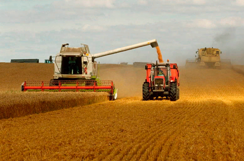 ФАО регистрирует продолжение роста цен на продовольствие и дефицит производства зерна