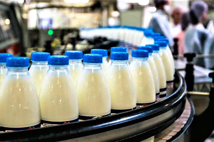 В России серьезно замедлился рост производства молока