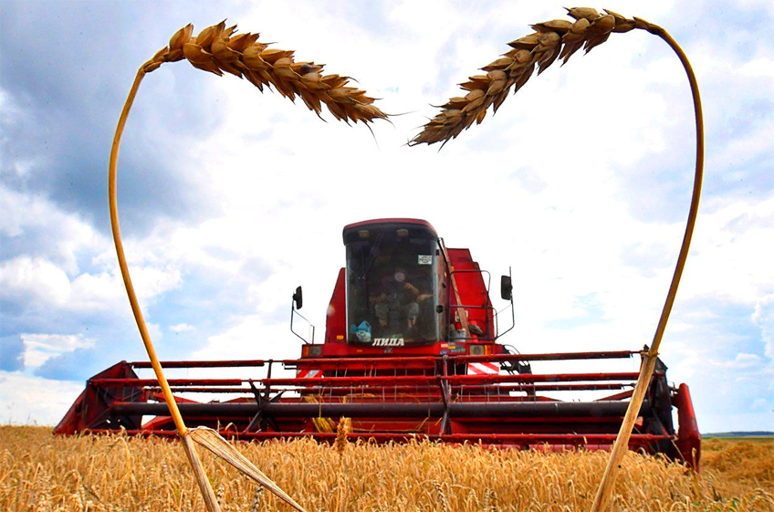 Эксперты прогнозируют урожай пшеницы в 2021 году на уровне 75-77 млн тонн, всего зерна - 1190121 млн тонн