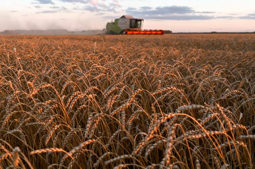 Экспортные цены на российскую пшеницу на прошлой неделе прервали свой рост