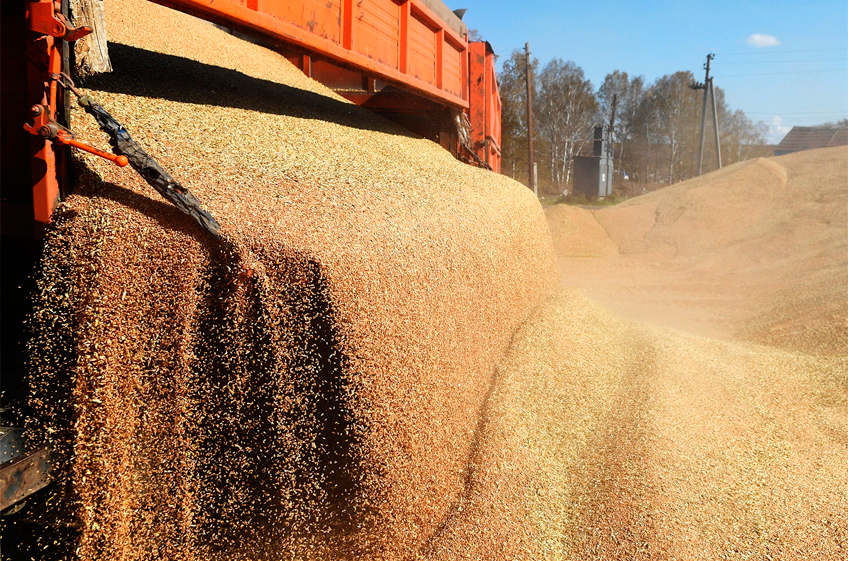 В. Плотников: "Из-за пошлины с каждой тонны зерна аграрии теряют часть доходности"