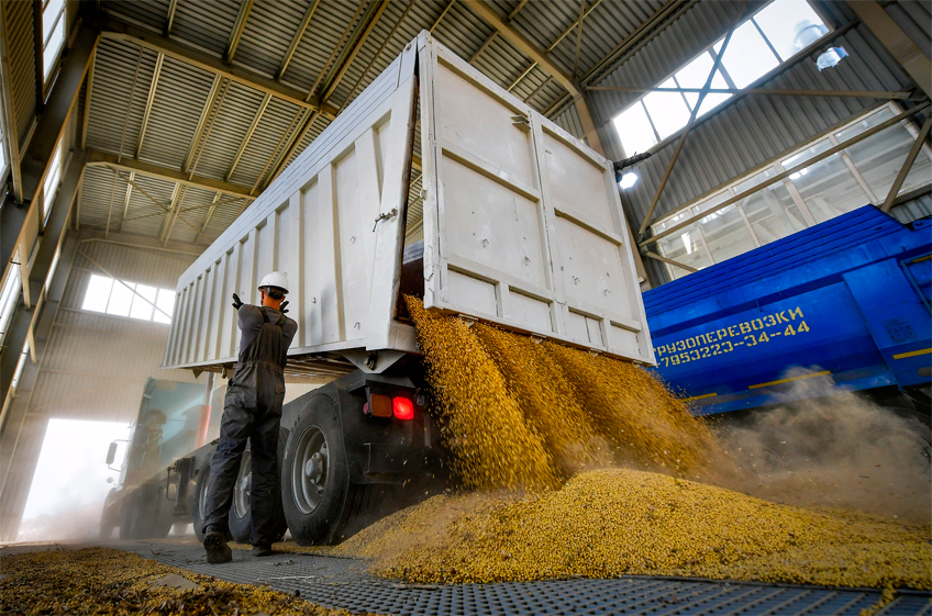 Минсельхоз РФ: Россия снизила экспорт пшеницы на 18%