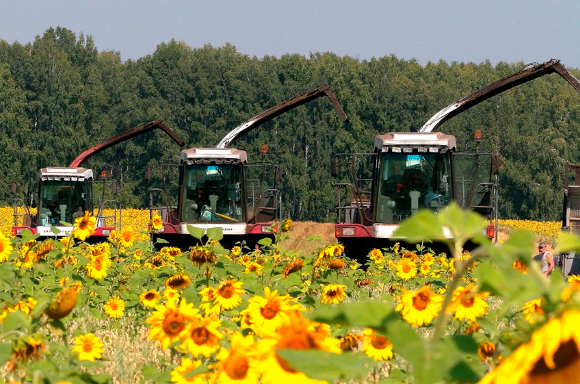 «Будущее сельского хозяйства в РФ сейчас полностью зависит от регулирования государства»