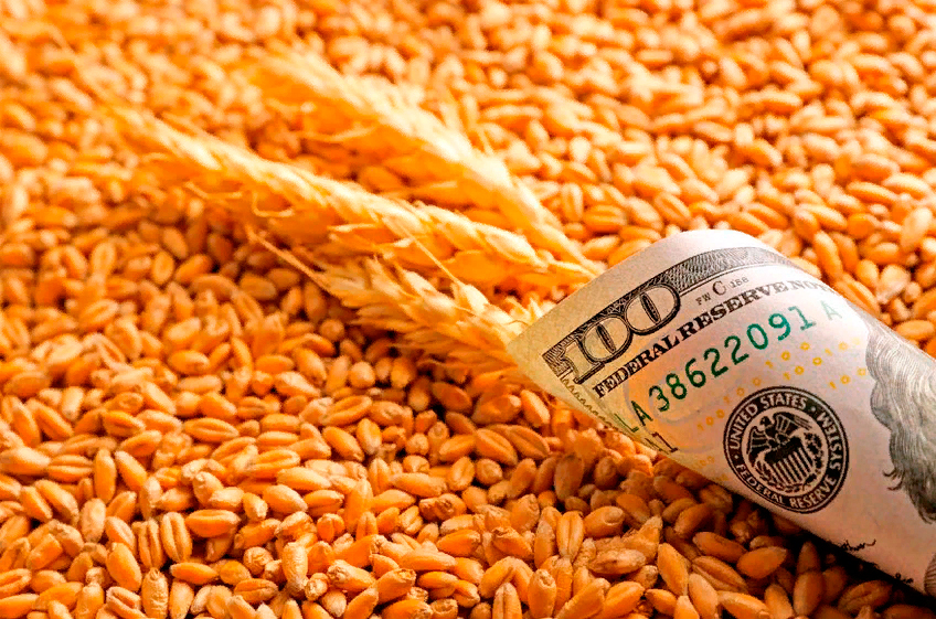 Экспортная пошлина на пшеницу из России с 20 апреля повысится до 110,7 доллара за тонну