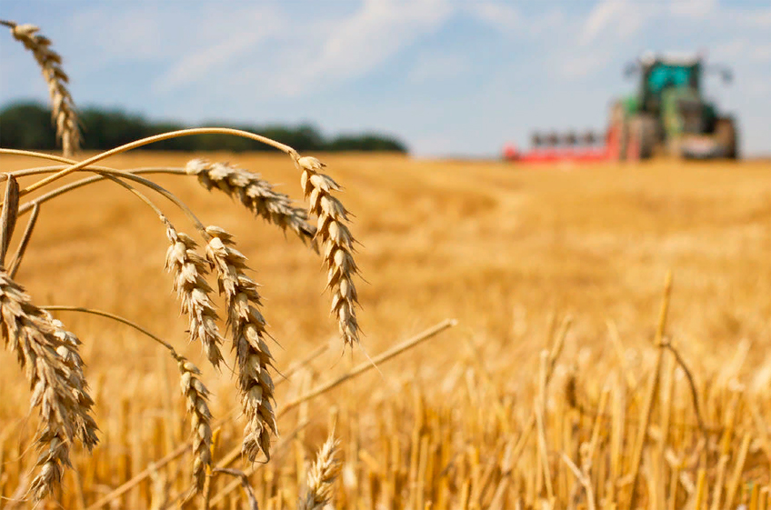 ФАО: на поддержку сельхозпроизводства на Украине требуется 115 млн долларов