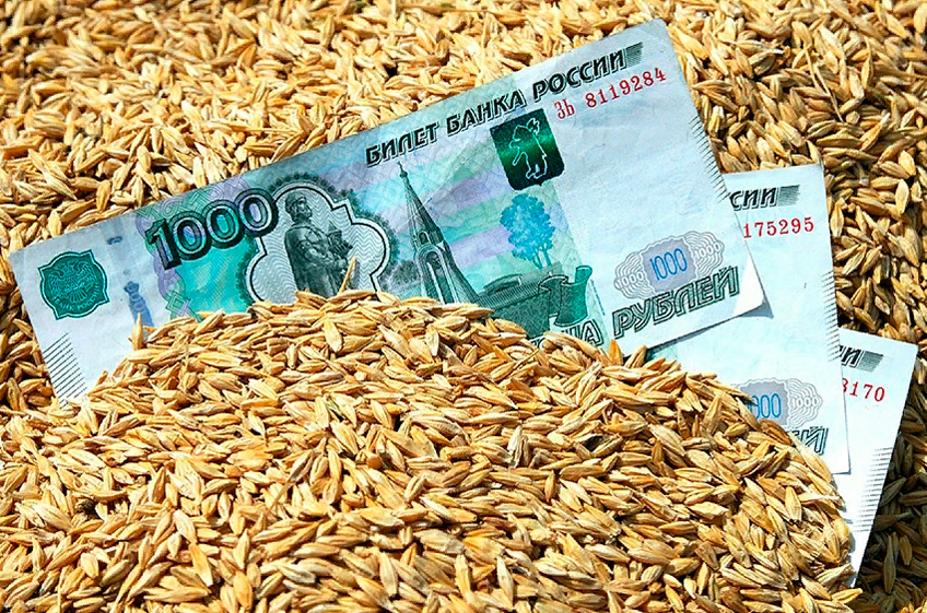 Правительство РФ выделит 10 млрд рублей на компенсацию расходов при производстве и реализации зерна