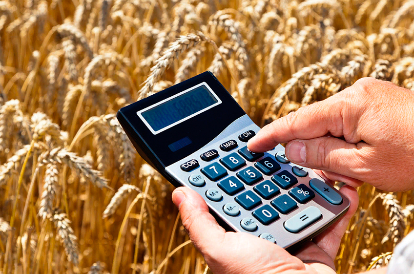 Правительство РФ изменит правила предоставления субсидий для аграриев