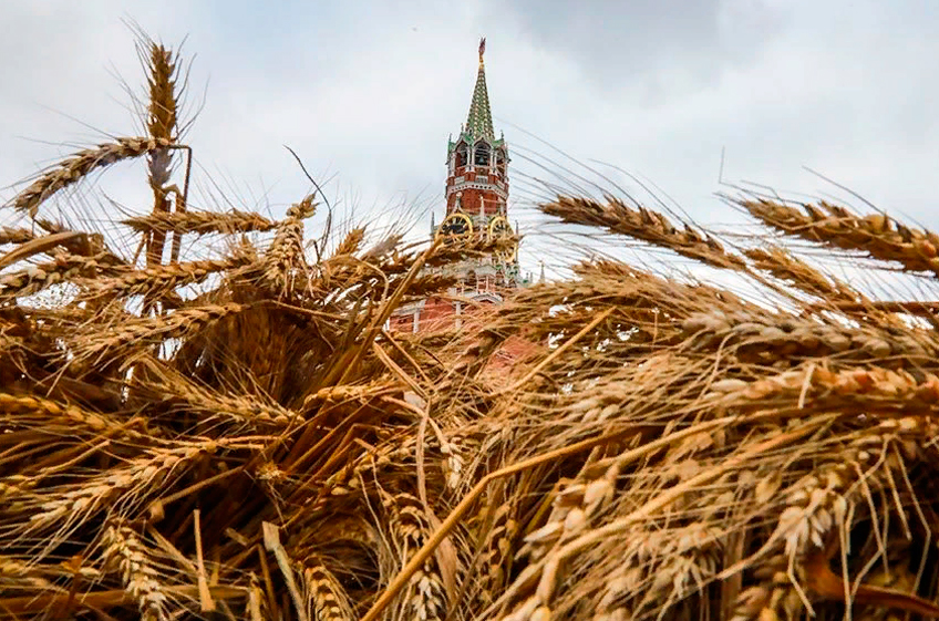 Минсельхоз США повысил прогноз экспорта пшеницы из России в текущем сельхозгоду