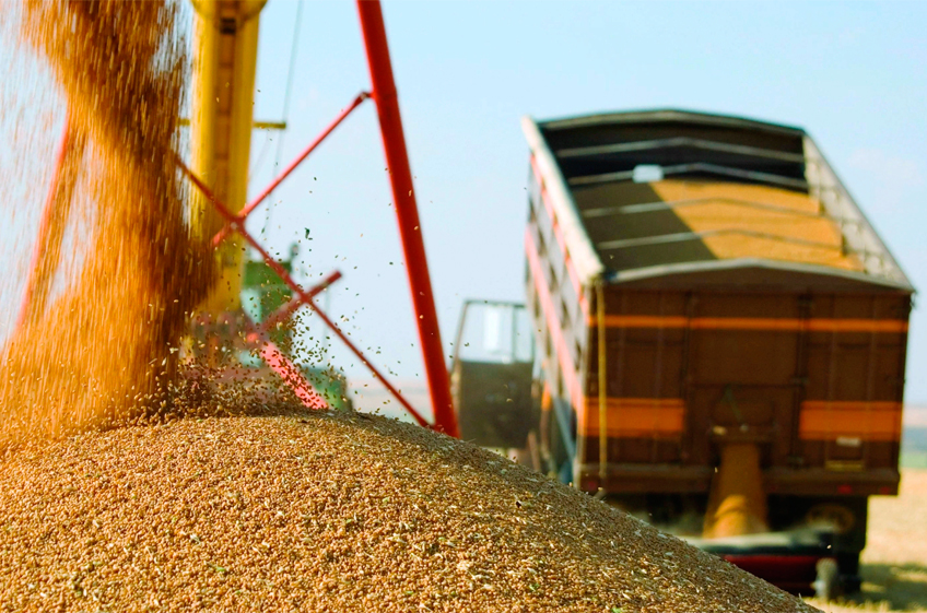 РЗС не снижает прогноз по экспорту зерна, несмотря на трудности с логистикой