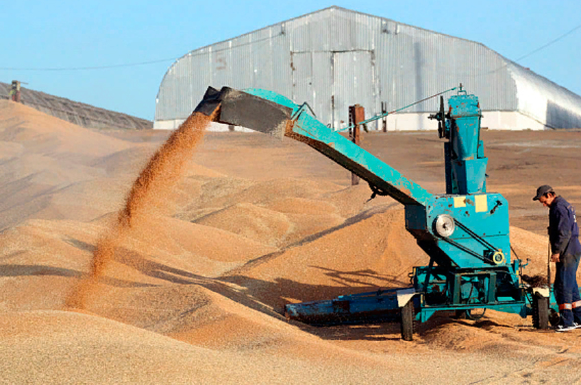 Запасы зерна в сельхозорганизациях России к 1 апреля составили 10,4 млн тонн