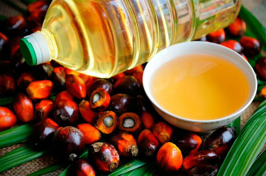 Масложировой союз: запрет экспорта пальмового масла из Индонезии не касается России
