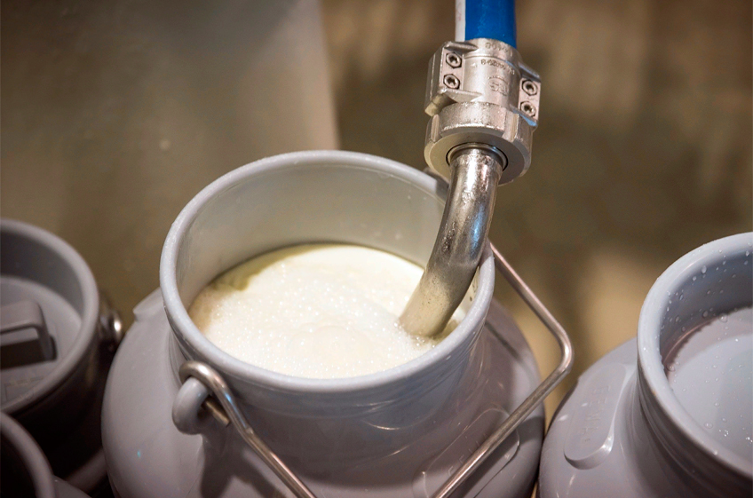 В Минсельхозе РФ подготовили изменения в правила выдачи субсидии на литр молока