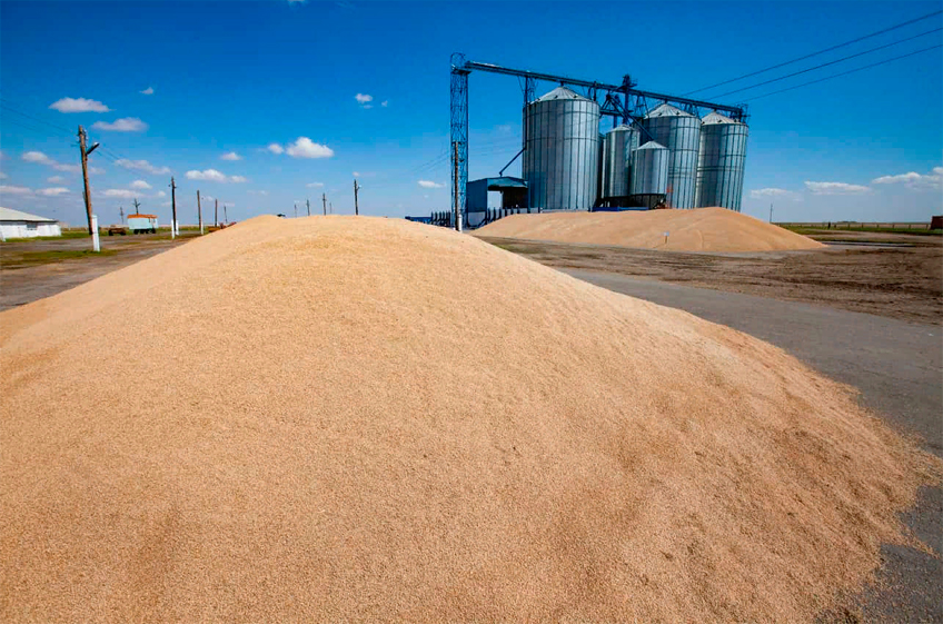 Торги зерном на Национальной товарной бирже в России вновь прошли безрезультатно