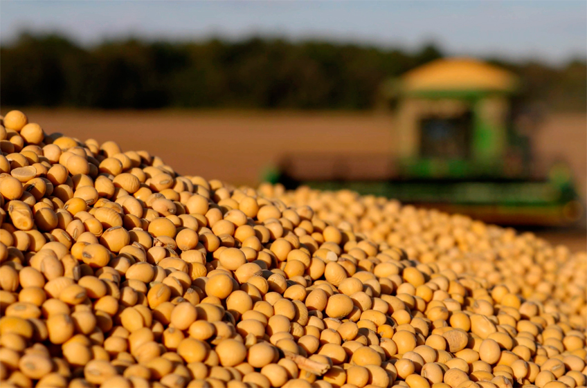 Минсельхоз РФ предложил продлить на 2023 год отказ от регистрации сои и шрота с ГМО
