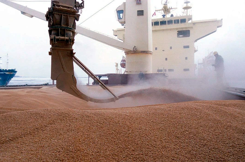 Россия с начала сезона снизила экспорт зерна на 12% — почти до 7 млн тонн