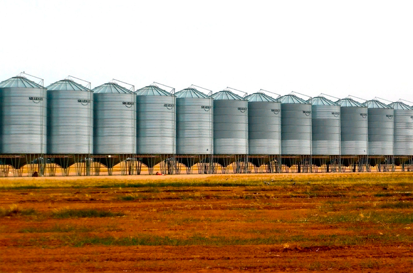 Торги зерном на Национальной товарной бирже вновь прошли безрезультатно
