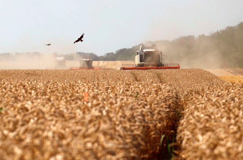 Минсельхоз РФ: Россия в текущем сезоне может и не собрать 130 млн тонн зерна