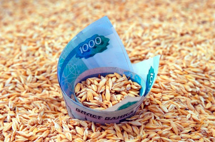 Минсельхоз РФ предложил выделить дополнительно 10 млрд рублей на субсидии производителям зерна