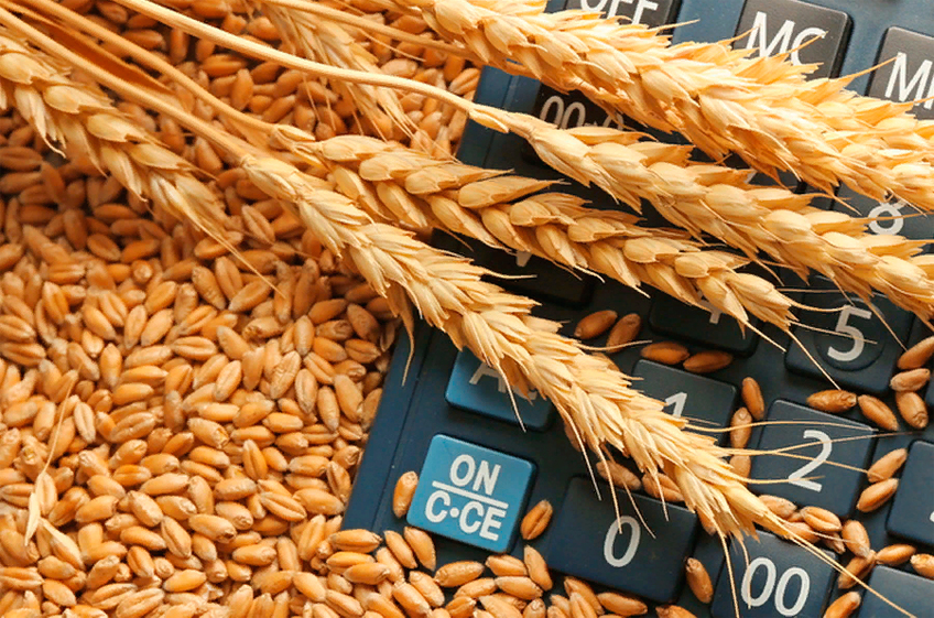 В первый день торгов Национальная товарная биржа закупила в госфонд 0 тонн зерна
