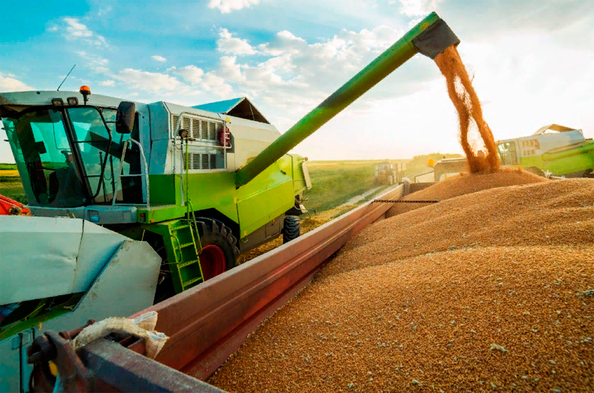 Международный совет по зерну повысил прогноз по урожаю пшеницы в России