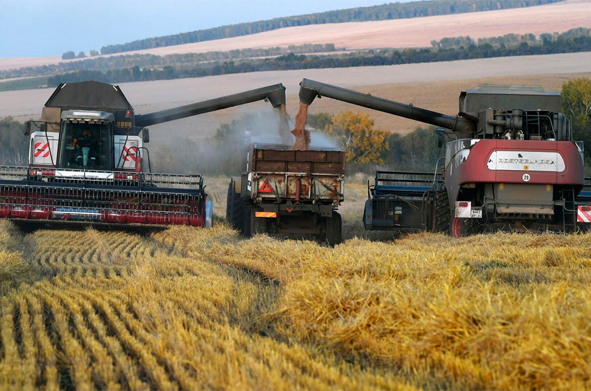 В госфонд России 29 августа было закуплено чуть больше 4 тыс. тонн зерна