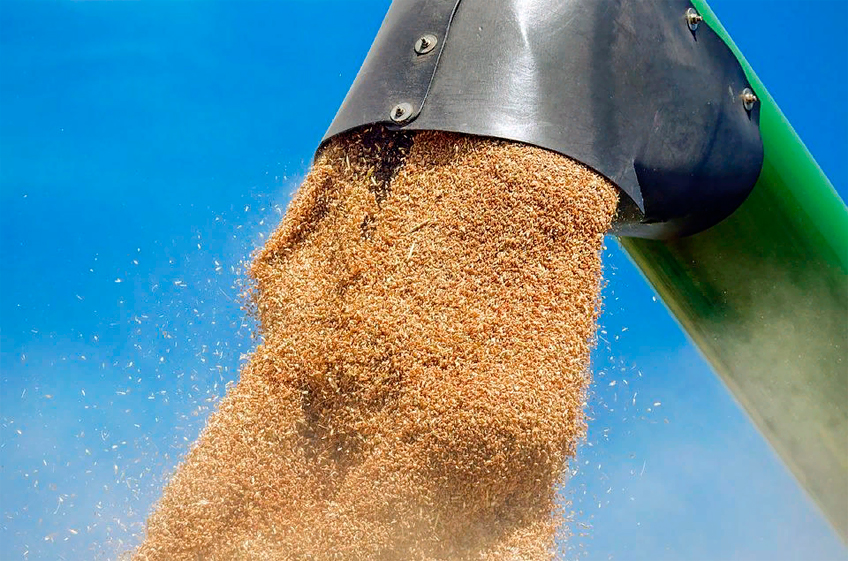 В союзе экспортеров зерна оценили снижение экспорта пшеницы из России в июле-августе в 20%