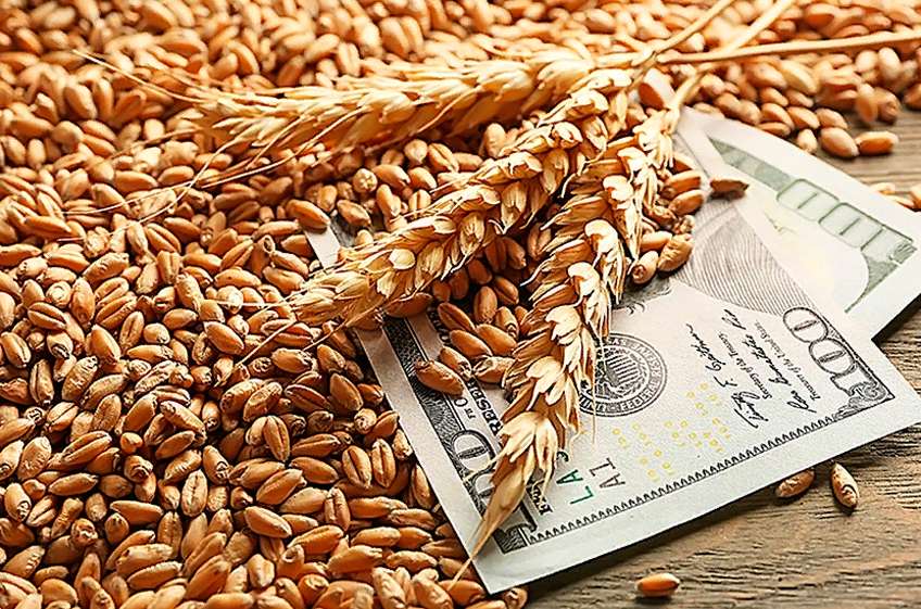 Минсельхоз США повысил прогноз экспорта пшеницы из России на 1 млн тонн