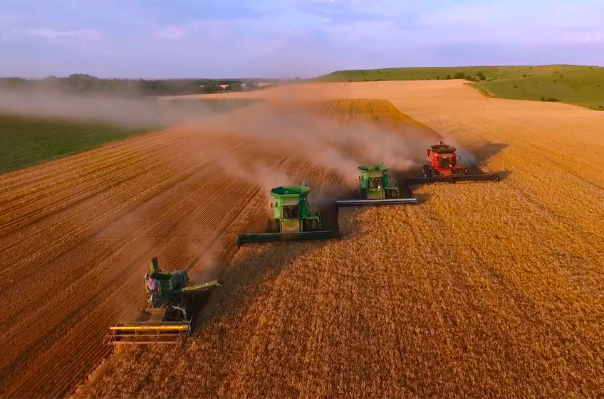 Минсельхоз США понизил оценку мирового сбора пшеницы