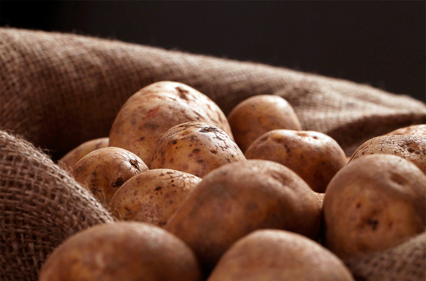 "Мираторг" готовит запуск нового семеноводческого центра по картофелю