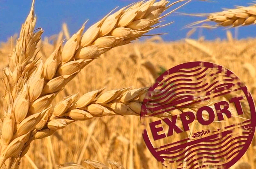 Минсельхоз РФ: Россия не будет отменять пошлины на экспорт зерна